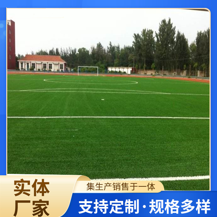 深圳市塑胶篮球场人造草坪 - 哪里好